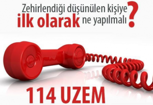 114-uzem